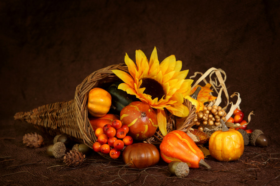 The Cornucopia An Iconic Symbol of Thanksgiving Phoenix Flower Shops