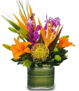 Our Tropical Cube features a variety of vibrant tropical flowers which may include birds of paradise, orchids, and more designed in a clear glass cube vase lined with foliage ribbon. This bouquet is exceptionally beautiful and long-lasting.
