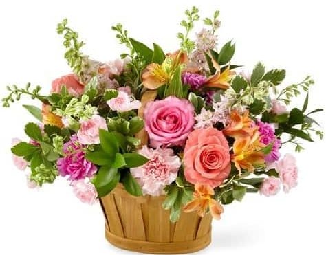 A glorious assortment of roses, larkspur, carnations, alstroemeria and more in shades of pink, peach and white make this basket a true beauty. Our Lift Me Up basket will brighten her day and make her heart soar