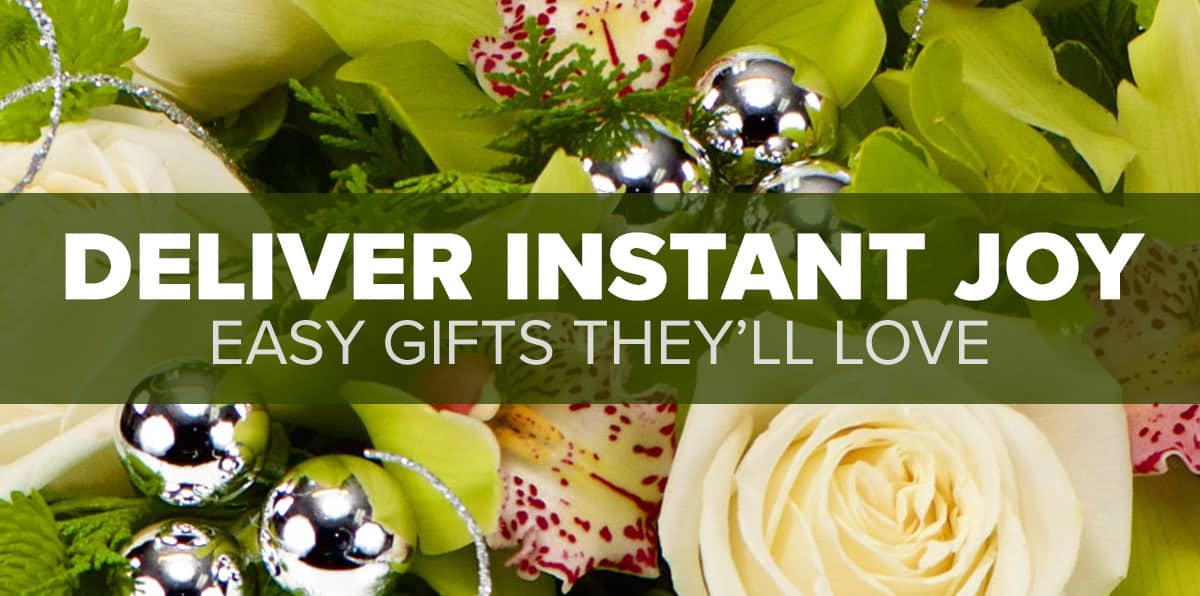 🎄 Phoenix Flower Shops Holiday Gift & Flower Guides Phoenix Flower