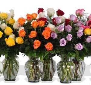full dozen of yellow, white, pink, bi-color, or specialty colored roses.